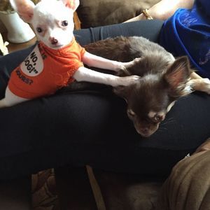 Meet your Posher, Sandra